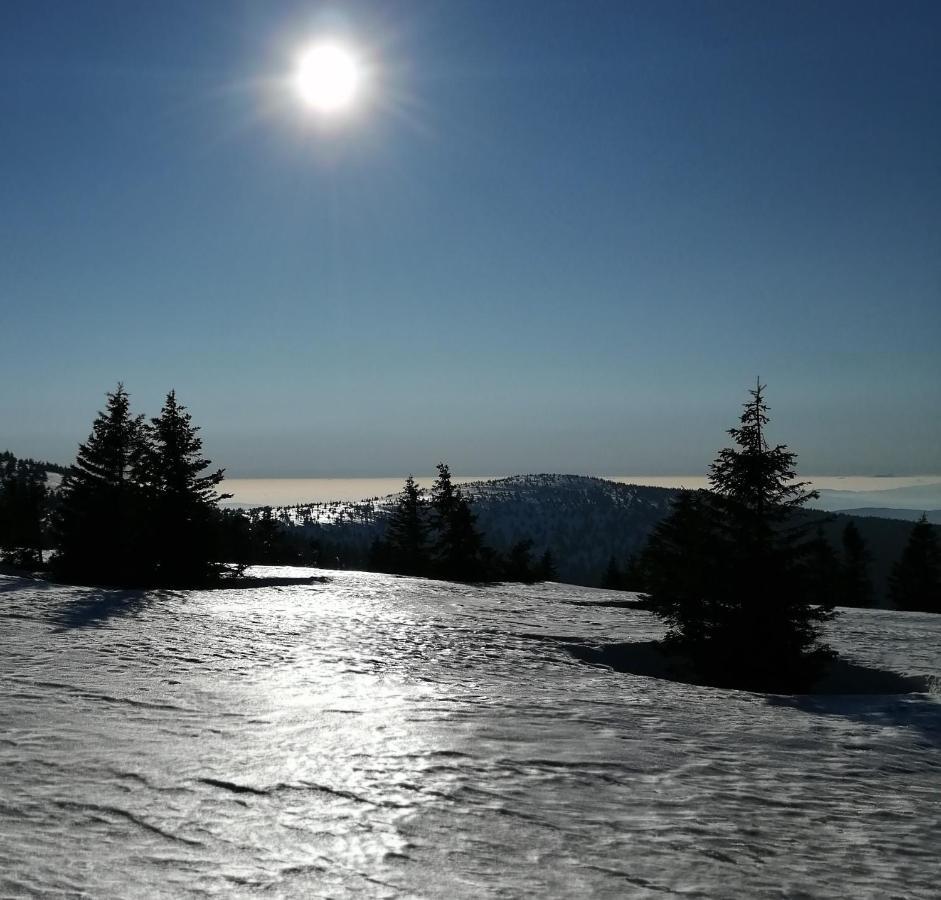 Dame Vam Pokoj - 4 Pokoje Se Sdilenou Kuchyni, Kapacita Max 9 Osob Harrachov Exterior photo